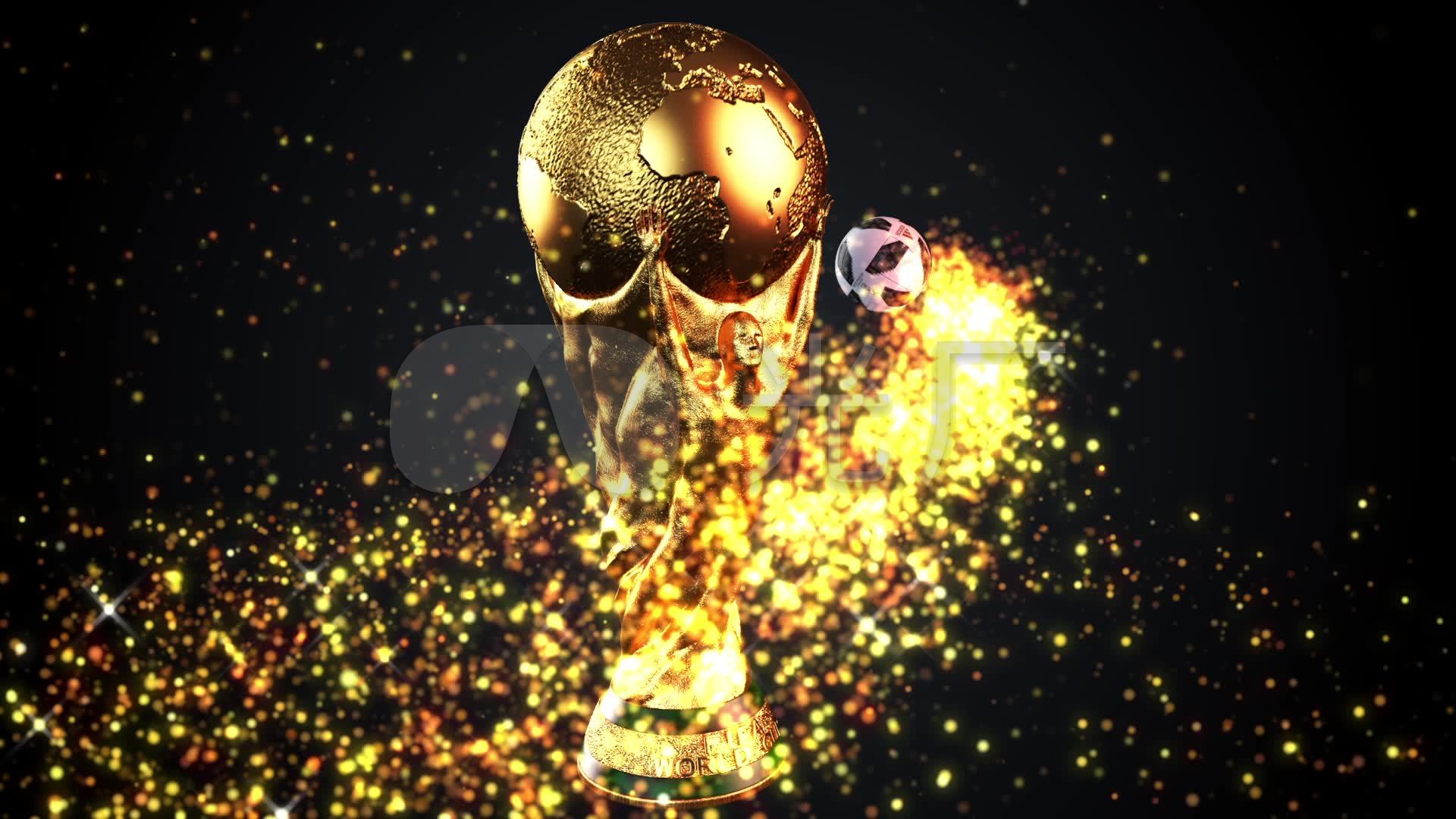 驱动轮尾轮衬块